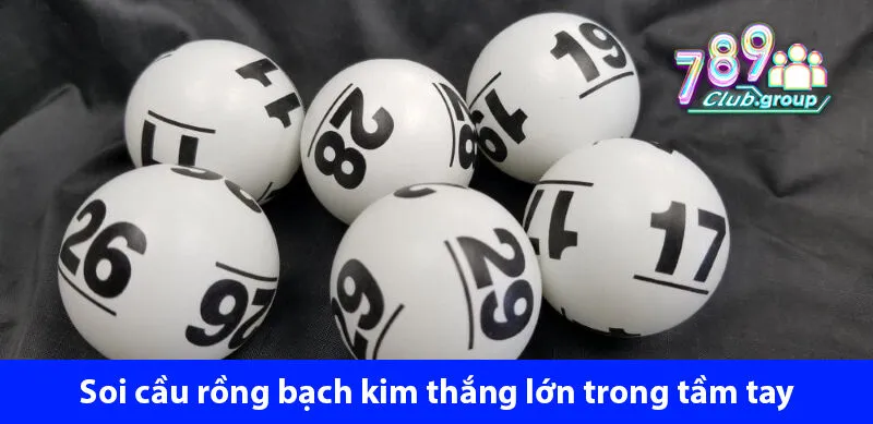 Phân tích cầu lô tiềm năng XS Quảng Bình 31/10/2024 – Xác định con số may mắn ở https://www.usapharmacy.us.org